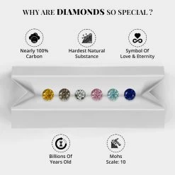 Natural Diamond Earrings In Sterling Silver, Flower Studs, Diamond Floral Earrings, Birthdya Gifts For Her 1.00 Ctw 10 Natural Diamond Earrings In Sterling Silver, Flower Studs, Diamond Floral Earrings, Birthdya Gifts For Her 1.00 Ctw -Jewelry store 3713024 2