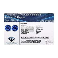 Certified & Appraised AAAA Tanzanite Set Of 2 (Rnd 6 Mm), Loose Tanzanite, Certified Tanzanite, Loose Gem, Loose Gemstones, Loose Stones, Jewelry Stones1.60 Ctw -Jewelry store 7023291 4