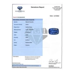 Ankur Treasure Chest Certified AAAA Vivid Tanzanite (Cush Free Size) 11.00 Ctw 9 Ankur Treasure Chest Certified AAAA Vivid Tanzanite (Cush Free Size) 11.00 Ctw -Jewelry store 7160212 3
