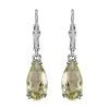 AAA Montezuma Prasiolite Earrings In Platinum Over Sterling Silver, Solitaire Earrings, Dangle Drop Earrings 5.40 Ctw