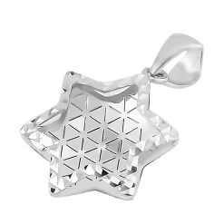 950 Platinum Star Pendant 1.60 Grams -Jewelry store 7512190 2