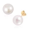 10K Yellow Gold White Edison Pearl Solitaire Stud Earrings