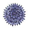 Tanzanite Floral Ring In Platinum Over Sterling Silver (Del. In 7-10 Days) 6.00 Ctw