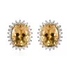 Premium Brazilian Heliodor, Moissanite Halo Stud Earrings In Vermeil Yellow Gold Over Sterling Silver 2.50 Ctw -Jewelry store 7609284