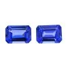 Certified & Appraised AAAA Tanzanite Set Of 2 (Oct 7x5 Mm) 2.00 Ctw, Loose Gemstones, Gemstone For Jewelry, Jewelry Stones -Jewelry store 7619340