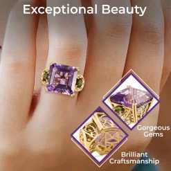 Rose De France Amethyst, Natural Chrome Diopside Ring In Vermeil YG Over Sterling Silver (8.55 G) 26.75 Ctw -Jewelry store 8733960 2